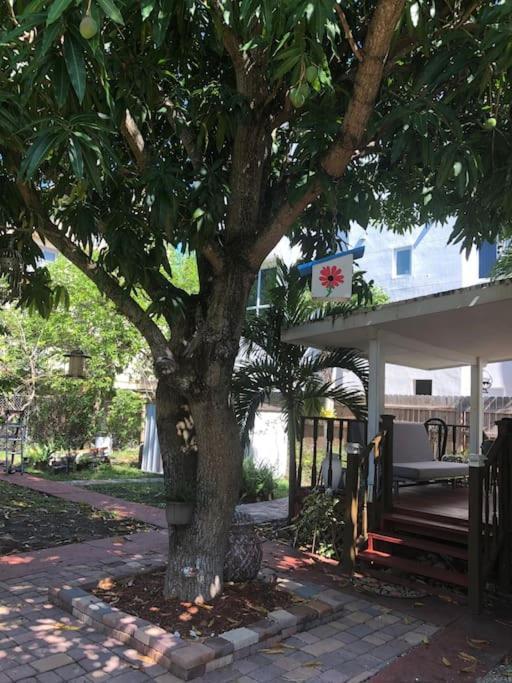 Independent Studio In Little Havana 마이애미 외부 사진
